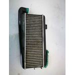 Intercooler Para Citroen Zx